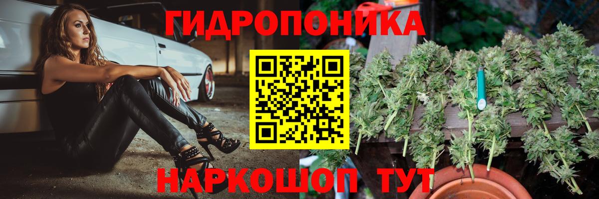 Йошкар-Ола  Бошки Шишки OG Kush  Вход с VPN  Бошки Шишки Ganja  МАРИХУАНА Amnesia  Каннабис VHQ 